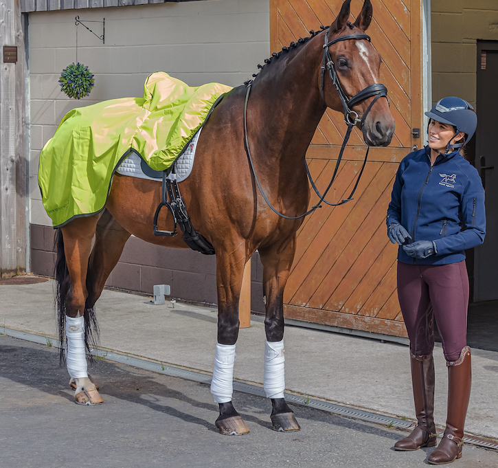 A bay horse is pictured wearing the Finer Equine Ride on Exercise Sheet in high vis yellow