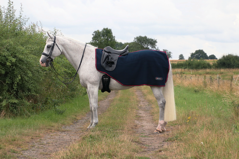 A grey horse is pictured wearing the Hy Equestrian DefenceX System Cool Control Exercise Sheet