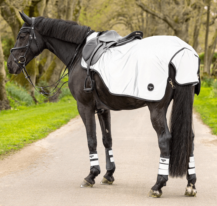 A black horse is pictured wearing the Le Mieux Reflective exercise sheet