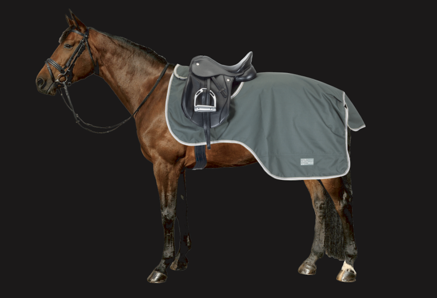 The Thermo Master Kaleo exercise rug is shown
