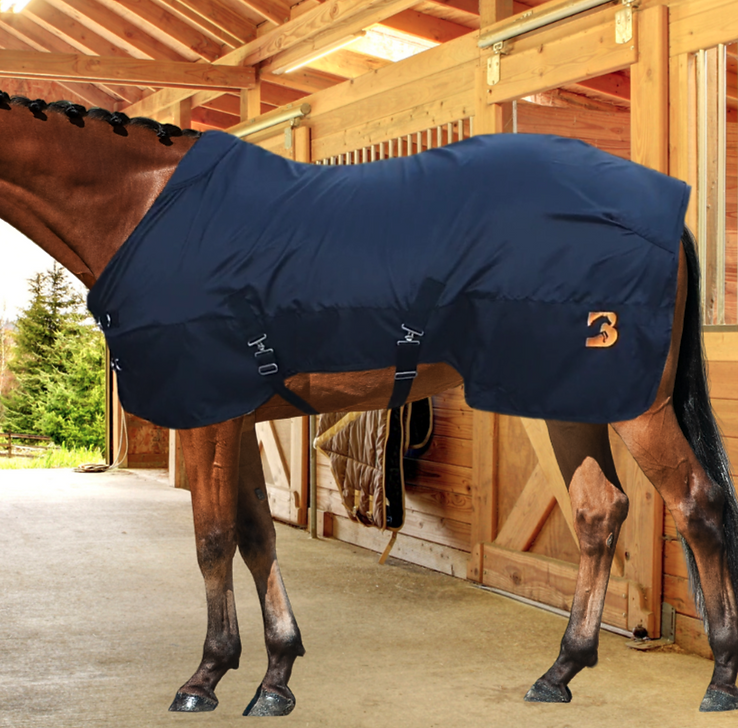 The Equine Balance Magnetic Therapy Rug is shown 