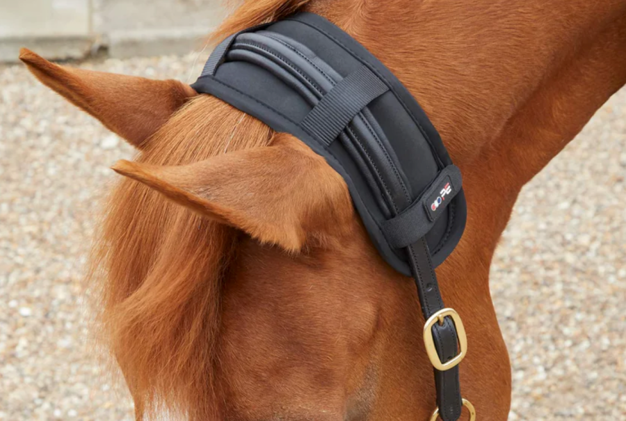 Pictured is the Magni-Teque Magnetic Poll Band from Premier Equine attached to a headcollar and worn by a chestnut horse