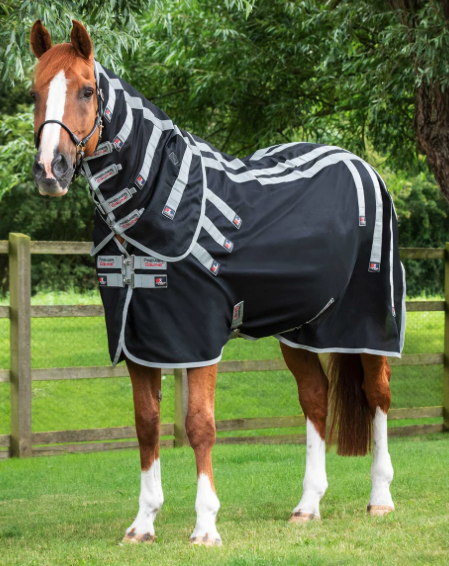 Pictured is a chestnut horse wearing a Premier Equine magnetic horse rug