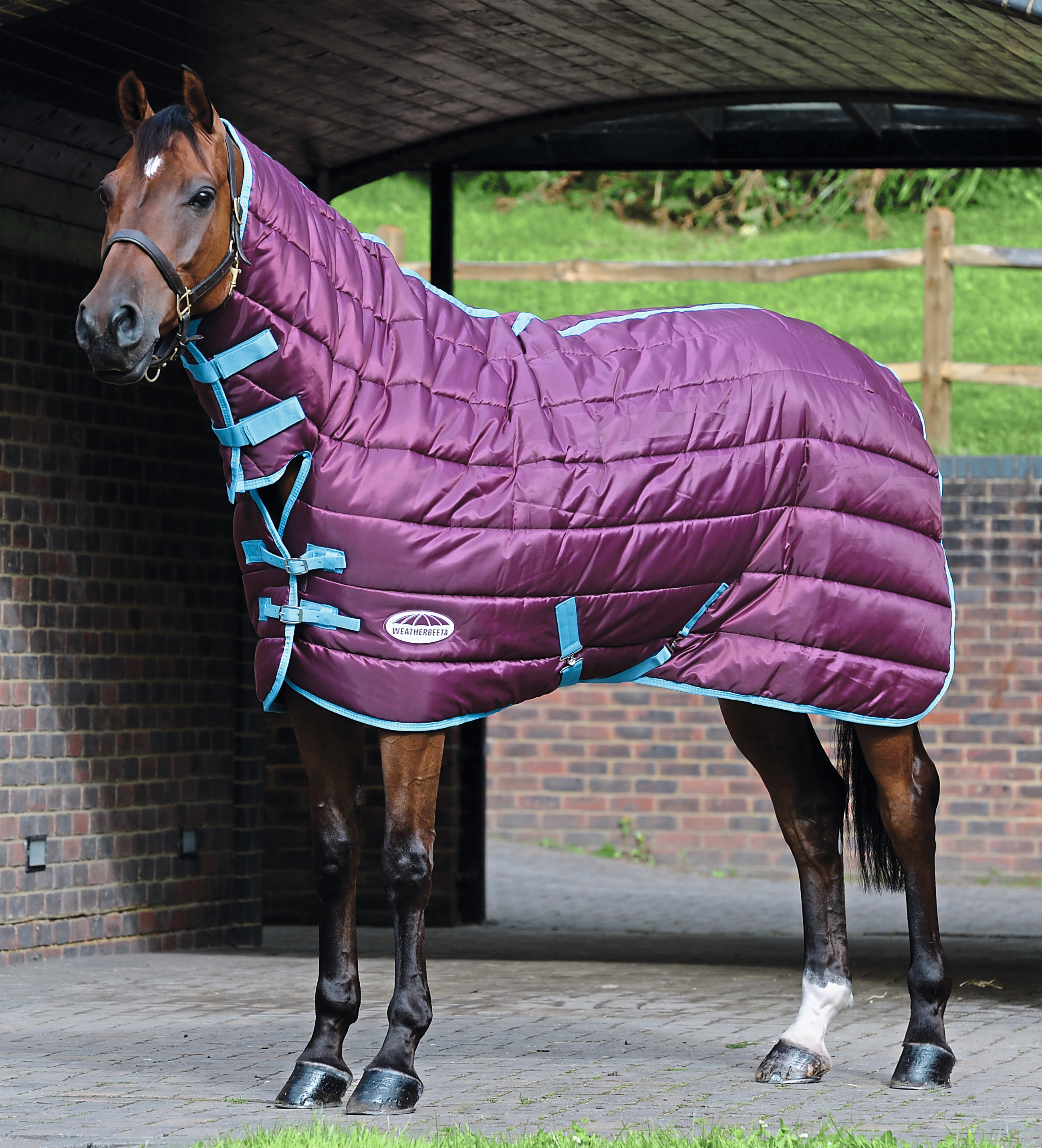 18 stable rugs to keep your horse warm and cosy this winter - Your Horse