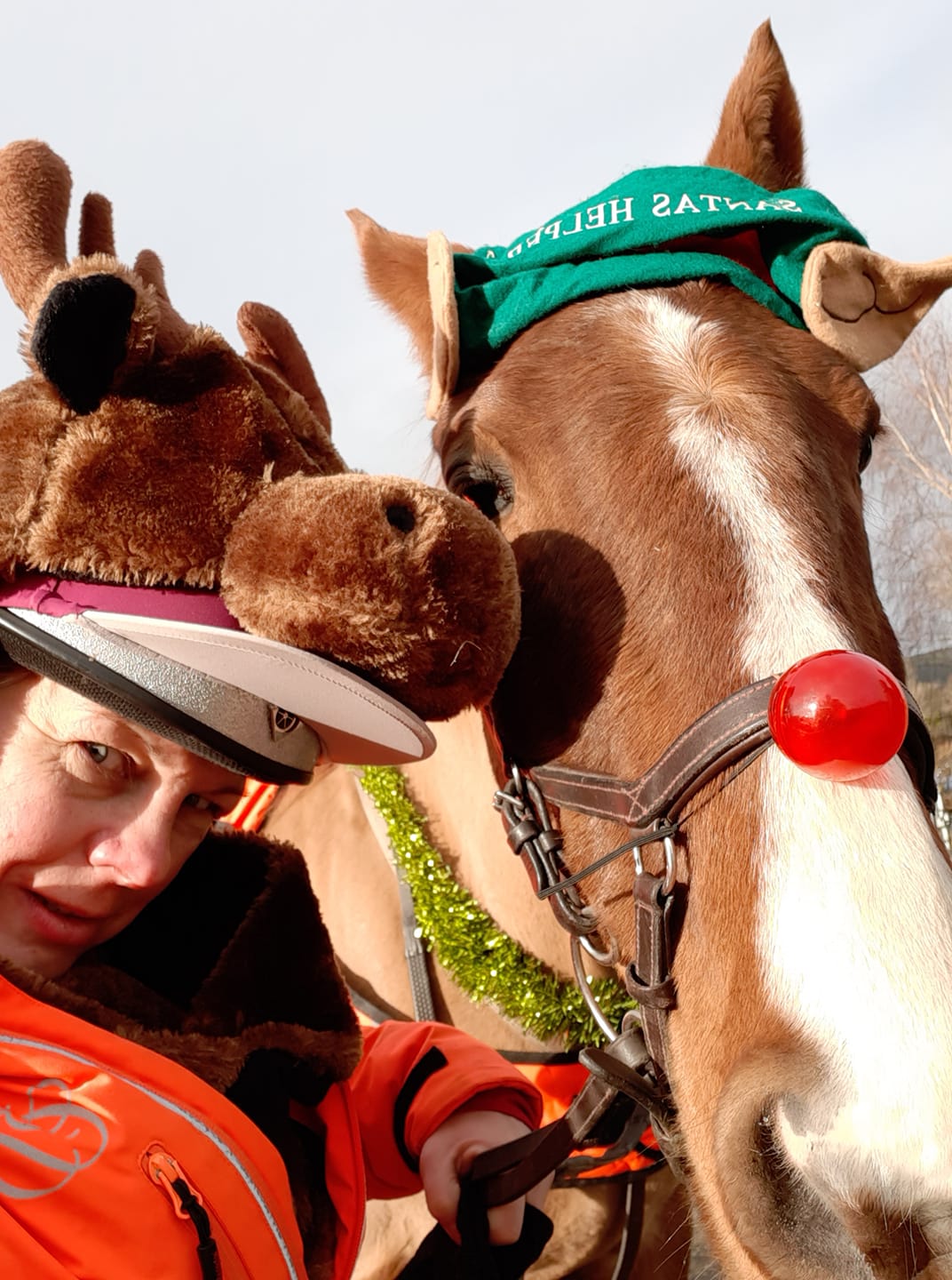 Horse on sale elf costume