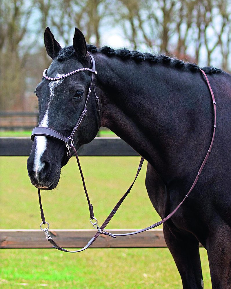 Bitless Bridles And The Physiological Advantages For Every Horse - Your ...