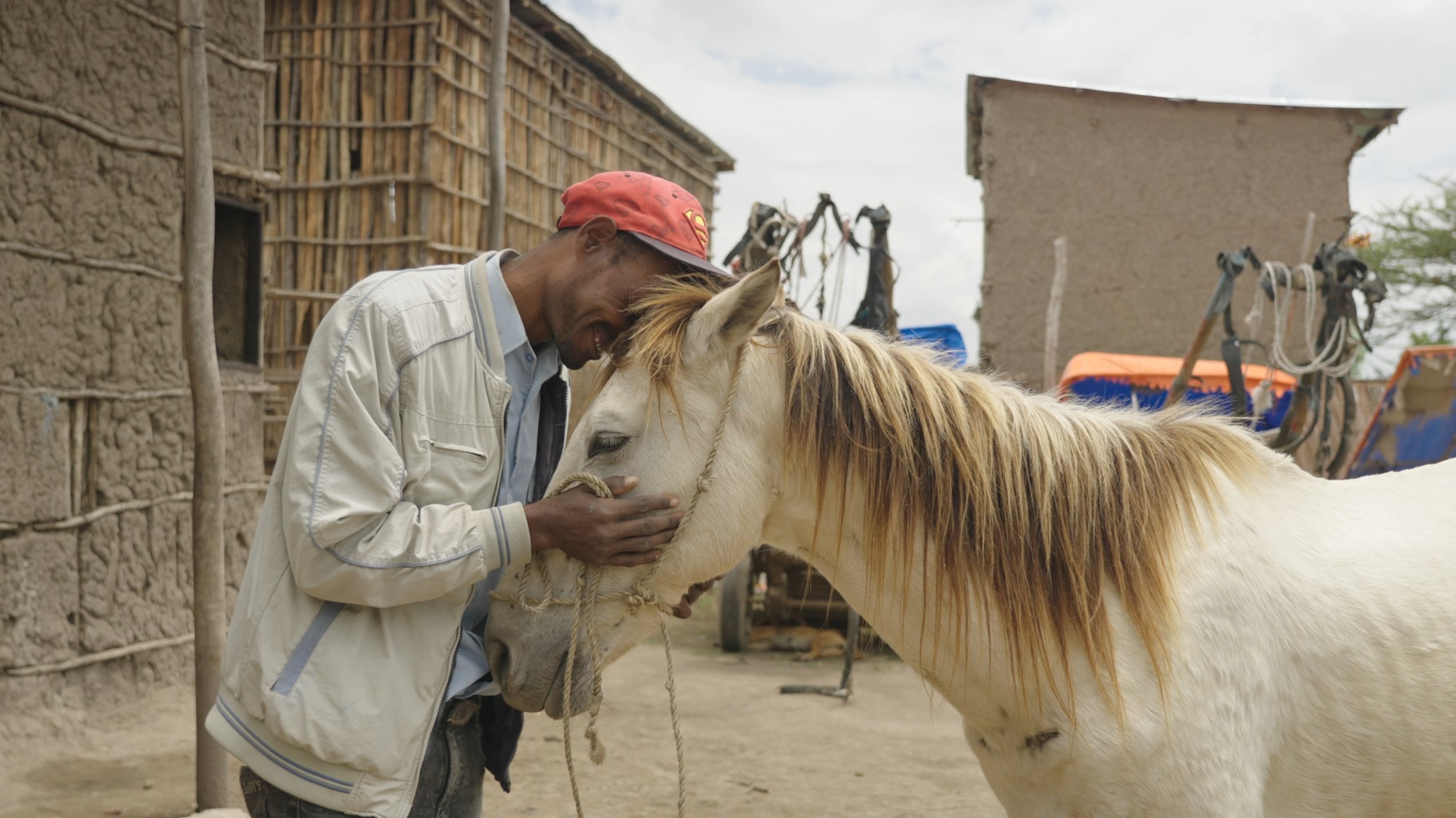 Equine charity Brooke wins People's Choice Film of the Year - Your Horse