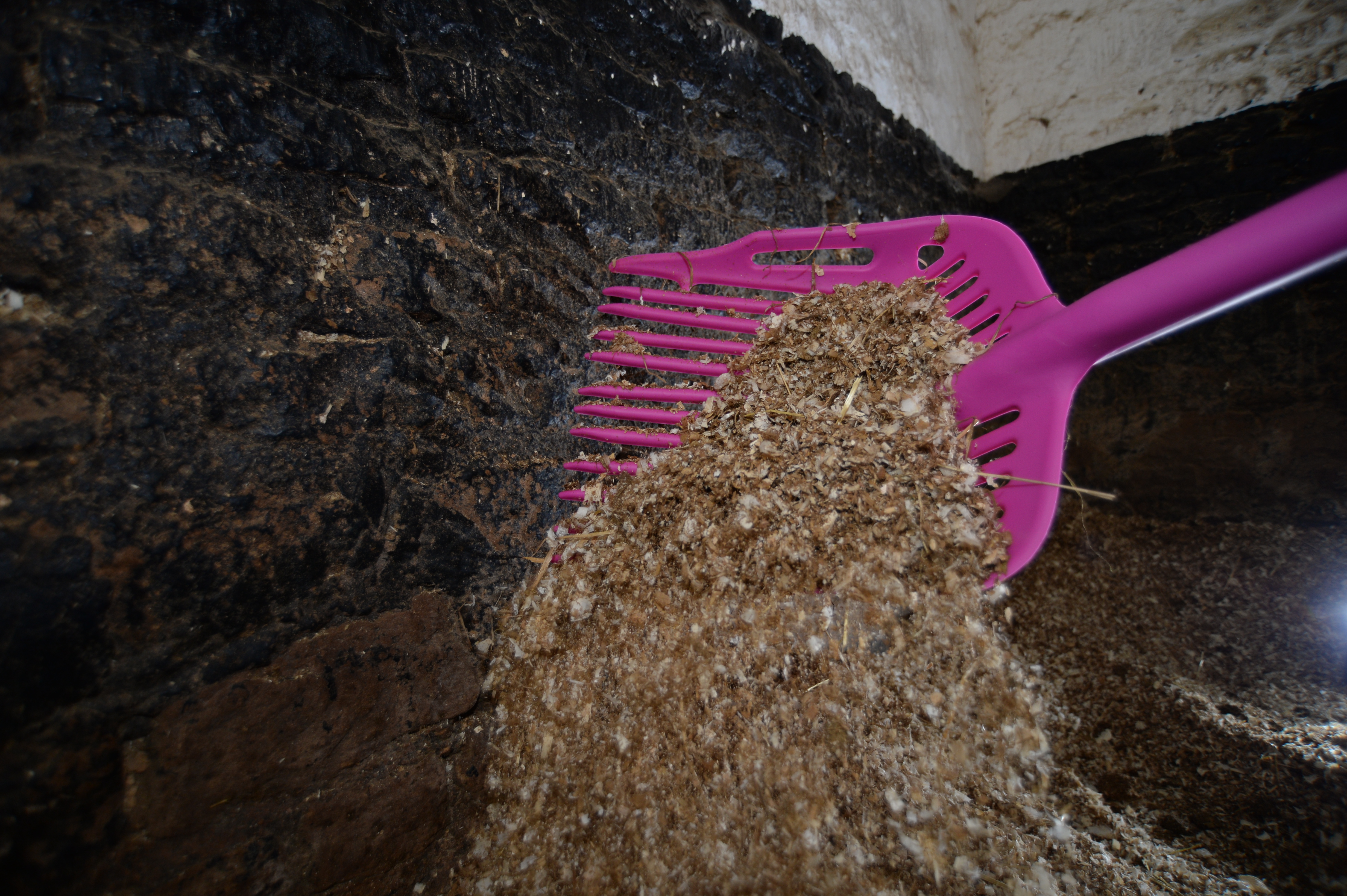 Best compost store fork