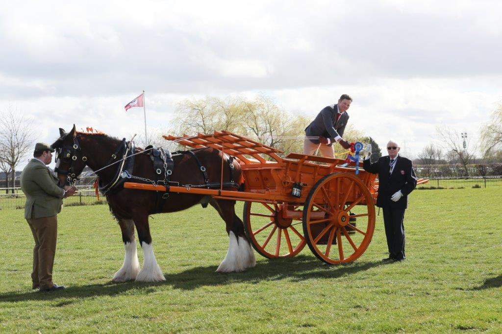 World’s largest gathering of Shire horses will champion native breed