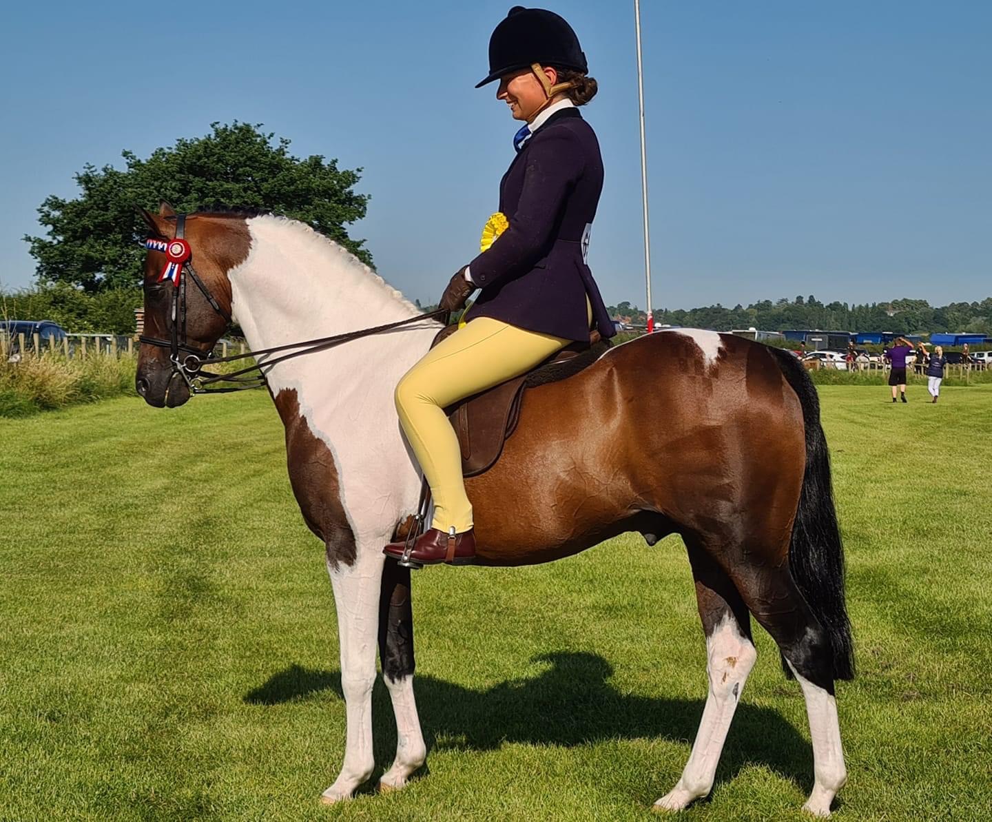 How to Groom Your Horse's Tail - Young Rider Magazine