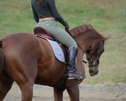 30-minute Flatwork Lesson - Your Horse