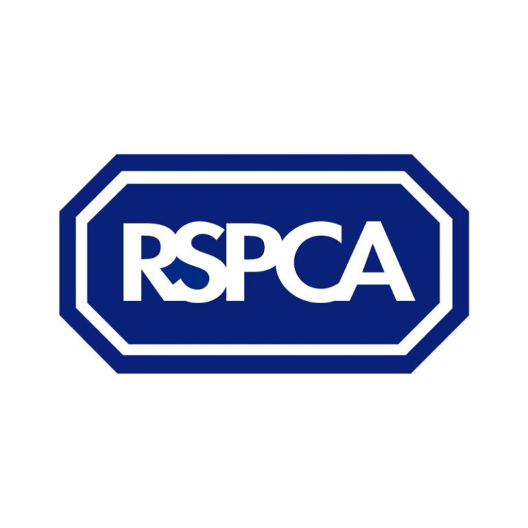 RSPCA seeks information after can found embedded in horse - Your Horse