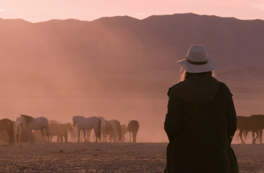 Wild Beauty follows herds of wild horses being rounded up by the US government