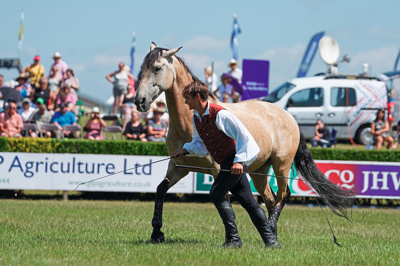 Introduction to liberty horse training plus exercises to try at home - Your  Horse