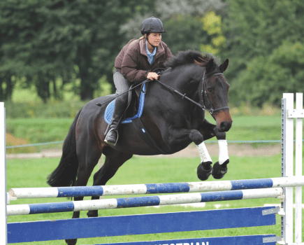 Pictured are a horse and rider clearing a white and blue showjump in a bitless bridle