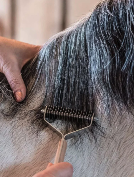Pictured is the Smart Manes Thinning Rake from Smart Grooming