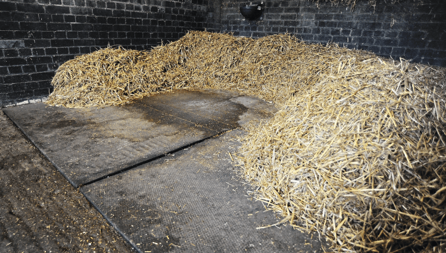 Pictured is a straw bedding in a horse stable with rubber mats underneath it