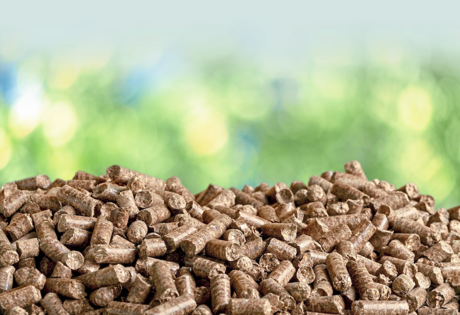 Wood pellets are pictured, a type of horse bedding