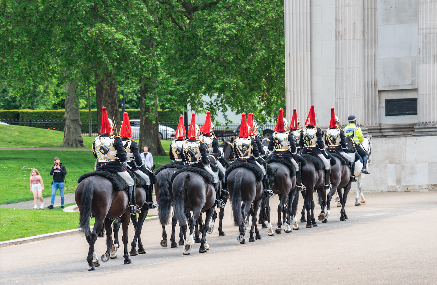 Household Cavalry horses making positive progress - Your Horse