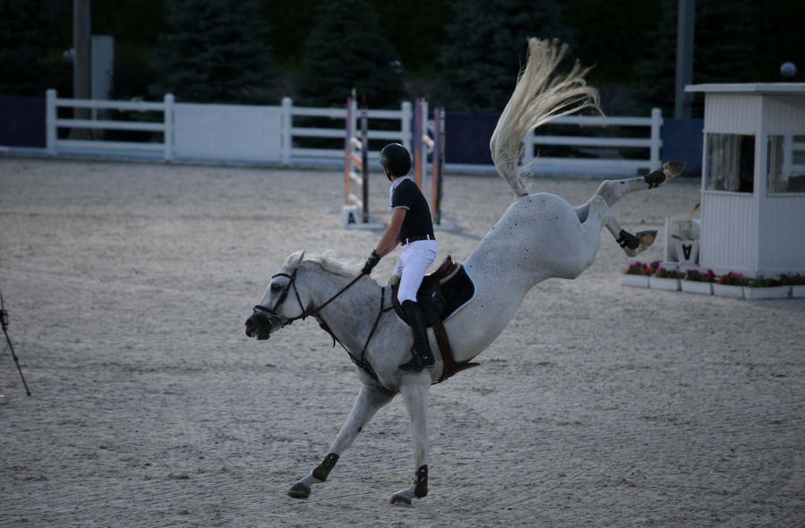 Pictured is a grey horse bucking with a rider on board while competing in a showjumping event