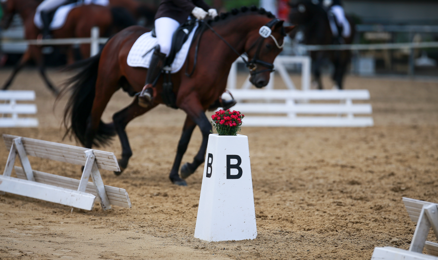 Pictured is the letter B marker on a dressage arena, with a horse and rider riding their test just out of focus behind it