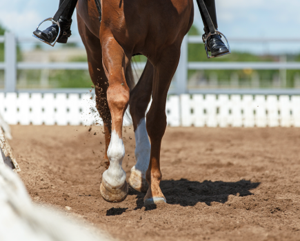Pictured is a close up of a horse's legs in an all-weather arena; suppleness is essential in a horse for dressage