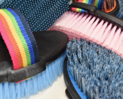 Pictured is a selection of horse brushes, which make up a grooming kit