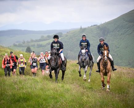 Pictured are three horses, with the eventual winners Georgina Silk and Branny on the left, overtaking multiple runners in the Man V Horse race