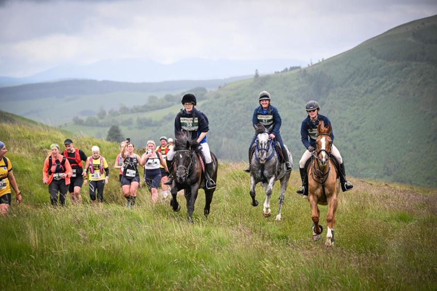 Pictured are three horses, with the eventual winners Georgina Silk and Branny on the left, overtaking multiple runners in the Man V Horse race