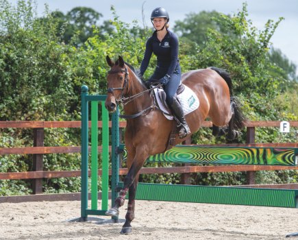 Pictured is a bay horse and rider clearing a fence made up of two bright green planks; these vertical showjumps are easy to know down