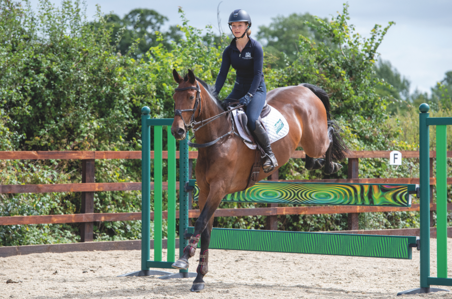 Pictured is a bay horse and rider clearing a fence made up of two bright green planks; these vertical showjumps are easy to know down