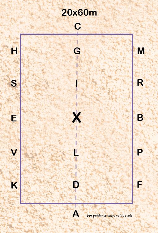 A diagram of a 20x60m dressage arena is shown 