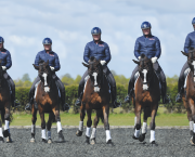 Pictured is a dressage rider Wade Barley riding leg yield left