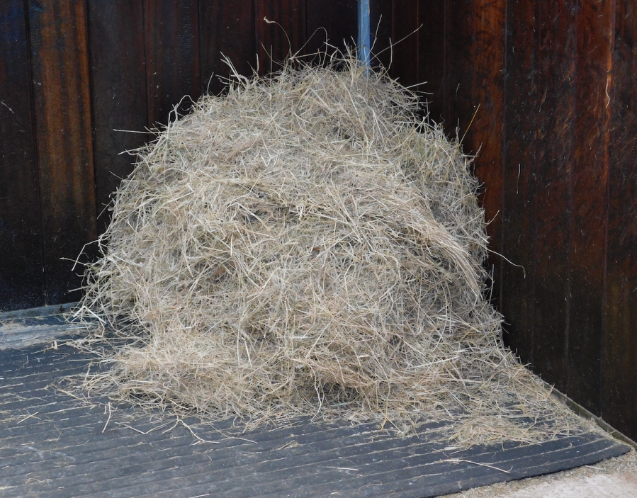 Pictured is a pile of hay on the floor in the corner of a horse's stable