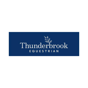 Thunderbrook logo