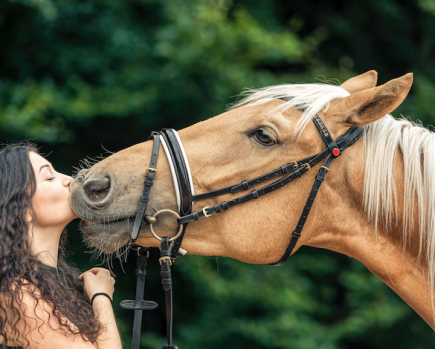 Pictured is a lady kissing a palomino horse on the nose; in the event of a divorce, the horse will be considered as part of the settlement