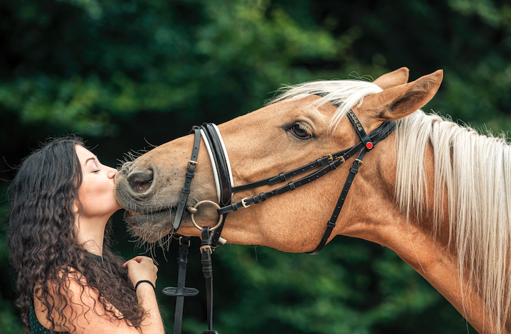 Pictured is a lady kissing a palomino horse on the nose; in the event of a divorce, the horse will be considered as part of the settlement