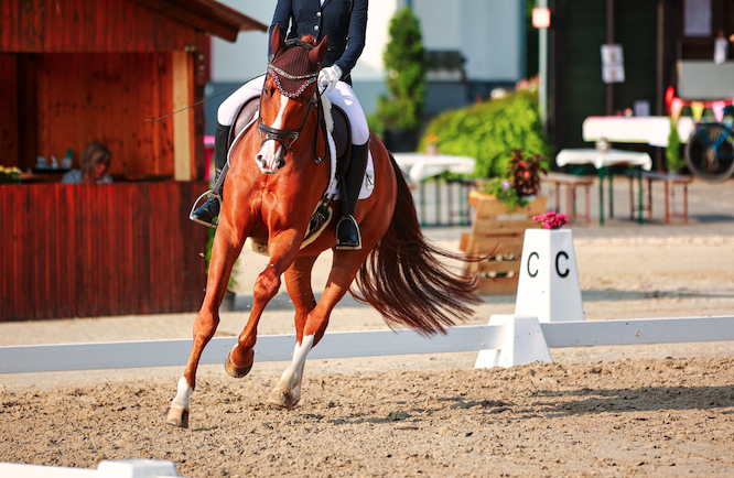 Pictured is a chestnut horse and rider beginning a 20m circle at C in a dressage test