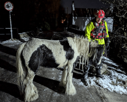 Pictured is the horse with one of the fire crew who saved her; she fell into a canal in freezing conditions