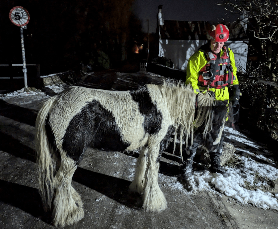 Pictured is the horse with one of the fire crew who saved her; she fell into a canal in freezing conditions