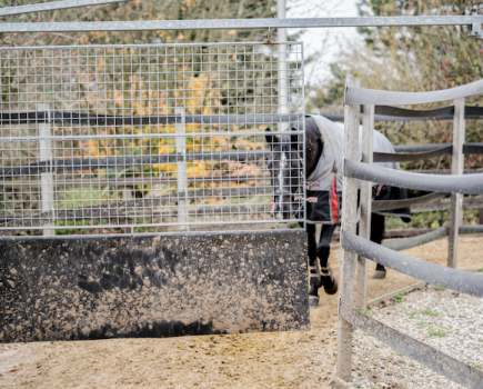 Pictured is a horse on an open-air horse walker wearing a rug to stay warm and dry