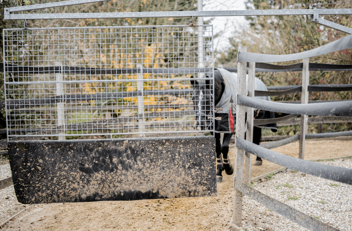 Pictured is a horse on an open-air horse walker wearing a rug to stay warm and dry