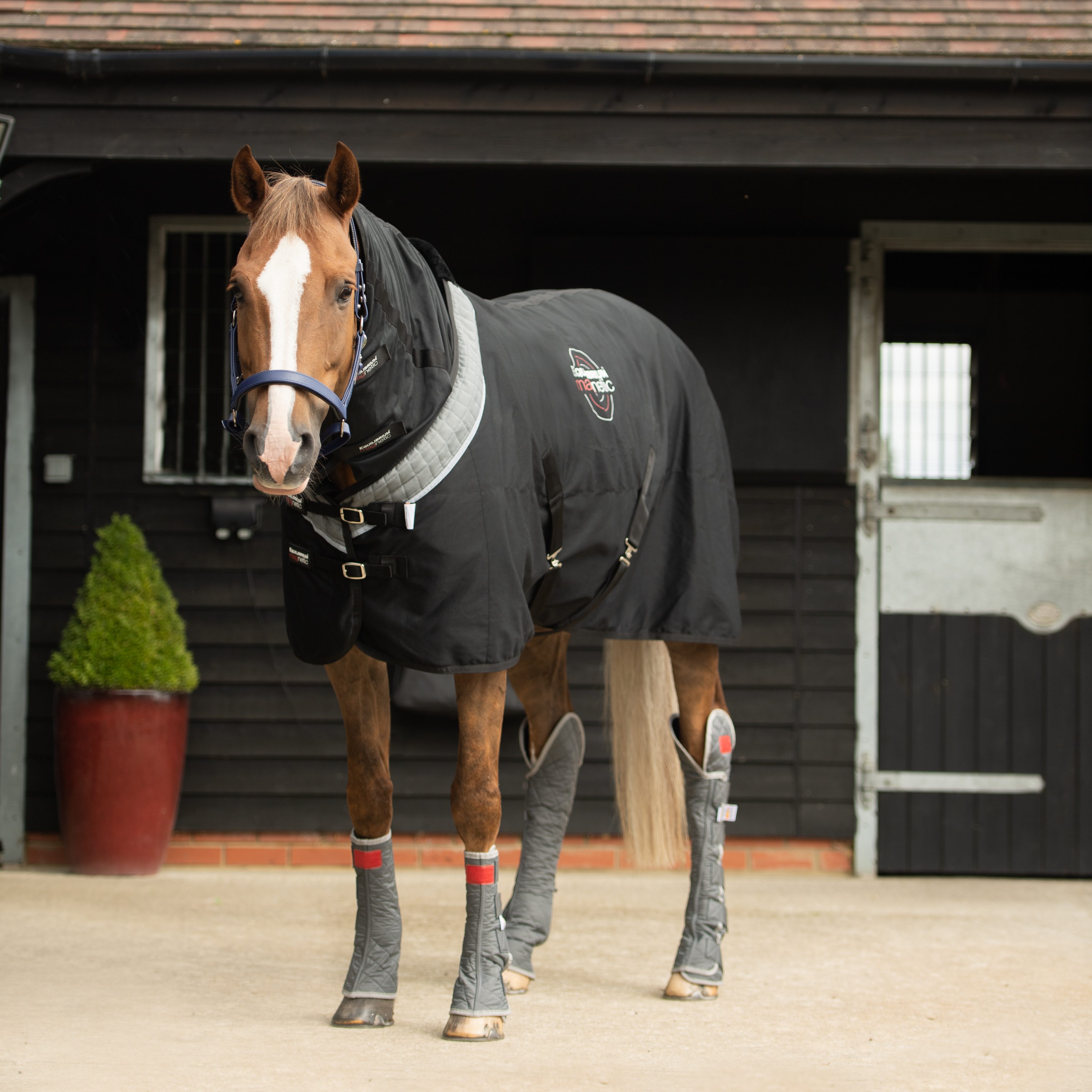 Pictured is the Equilibrium Magnetic Rug