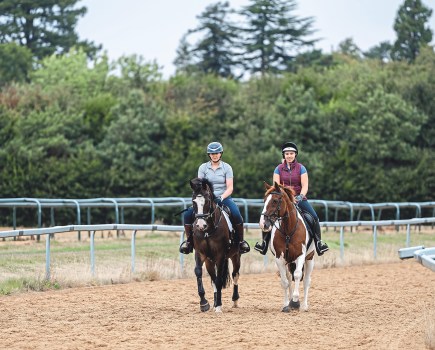 Pictured are two horses and their riders walking side by side on the gallops