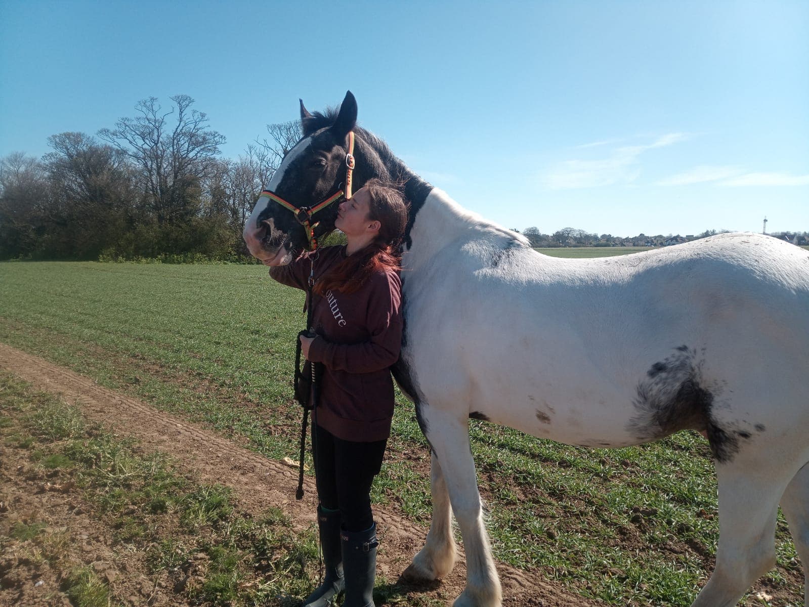 Young rider dragged from road after vehicle spooks horse - Your Horse