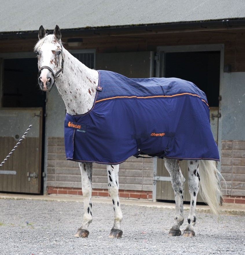 Pictured is the Bucas Therapy Cooler Rug