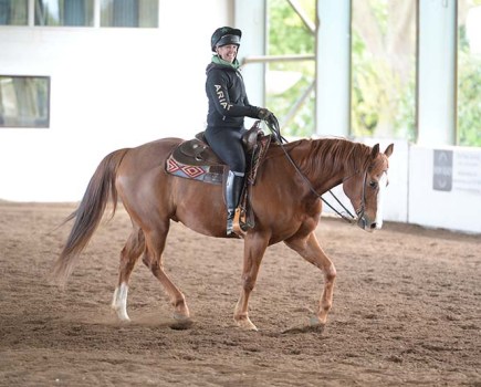 Pictured is a female riding a chestnut horse Western style