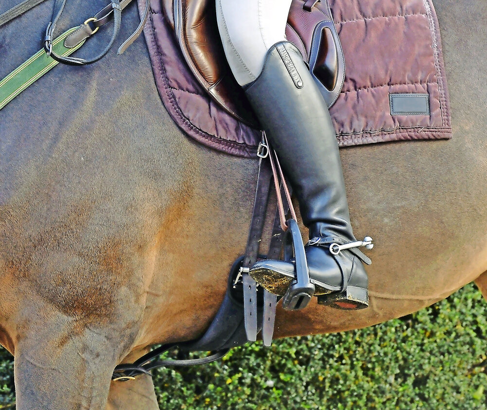 Best Stirrups For Trail Riding In All-Day Comfort | vlr.eng.br