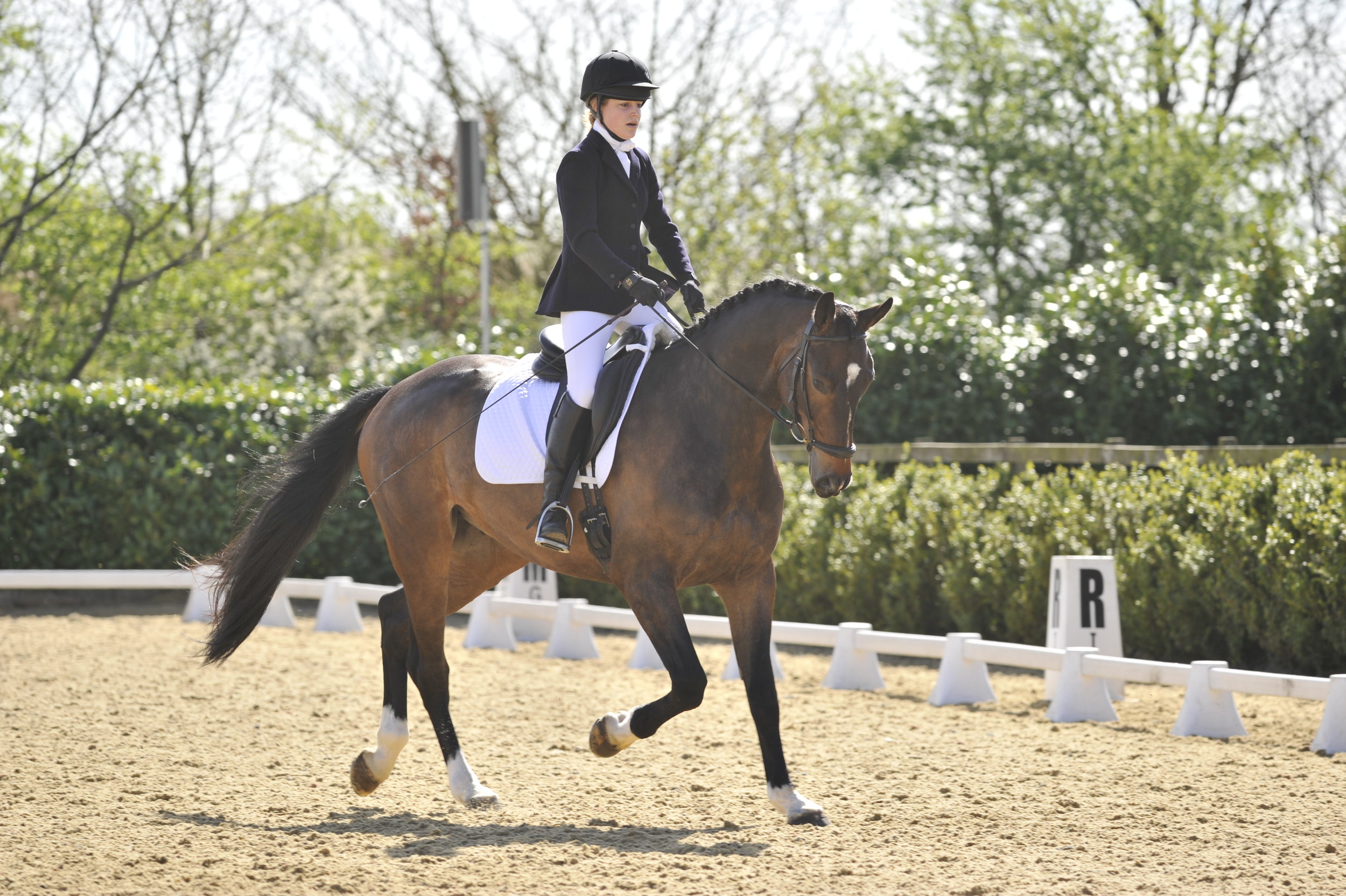 New dressage judge training promises to enhance competitor experience