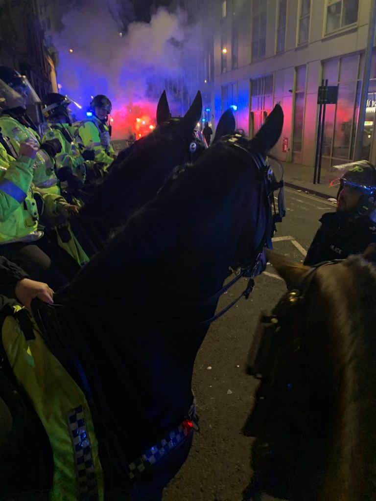 ‘They Were Amazing’: Mounted Officers Praise Horses Policing Violent ...